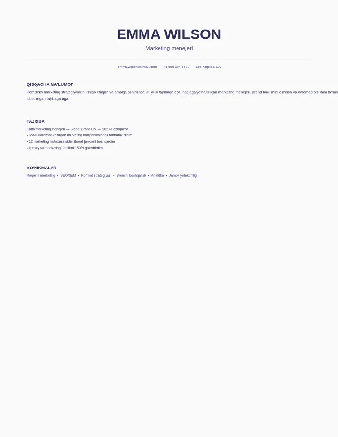 Nafis Minimalist Rezyume