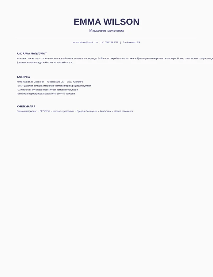 Нафис Минималист Резюме