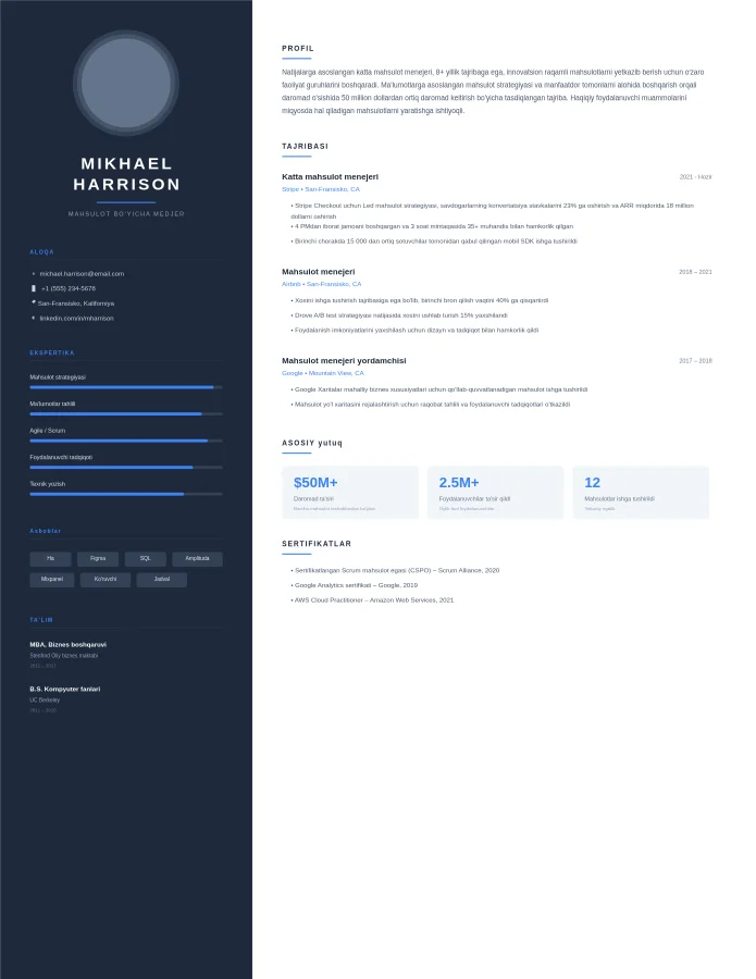 Rahbar rezyumesi – Zamonaviy professional