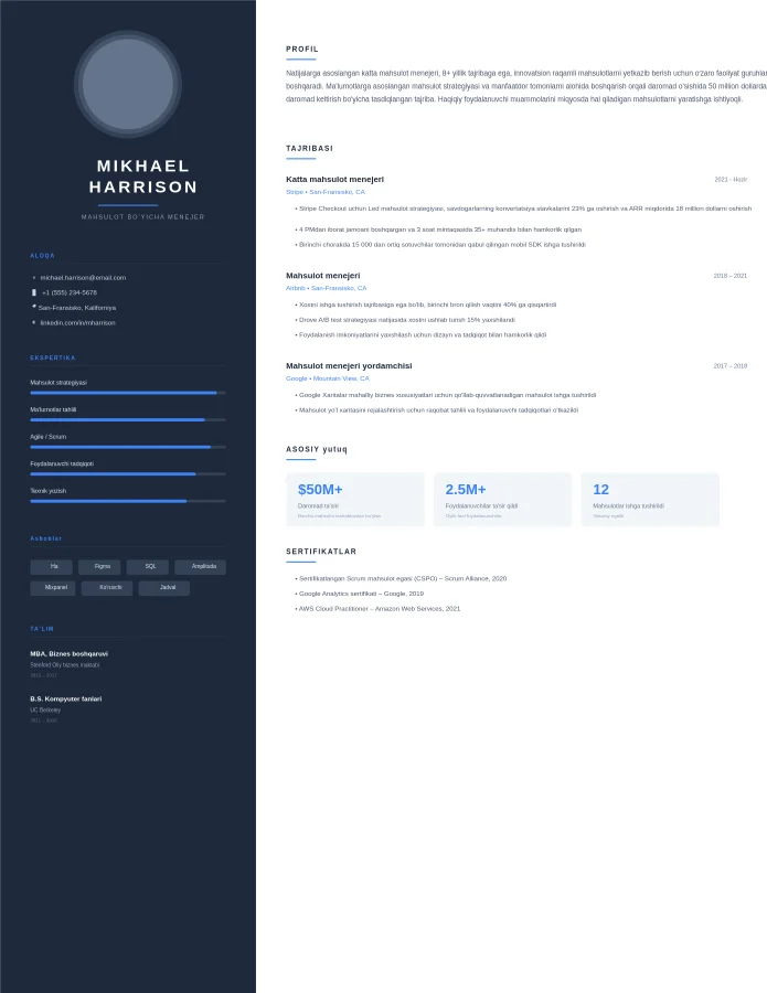Rahbar rezyumesi – Zamonaviy professional
