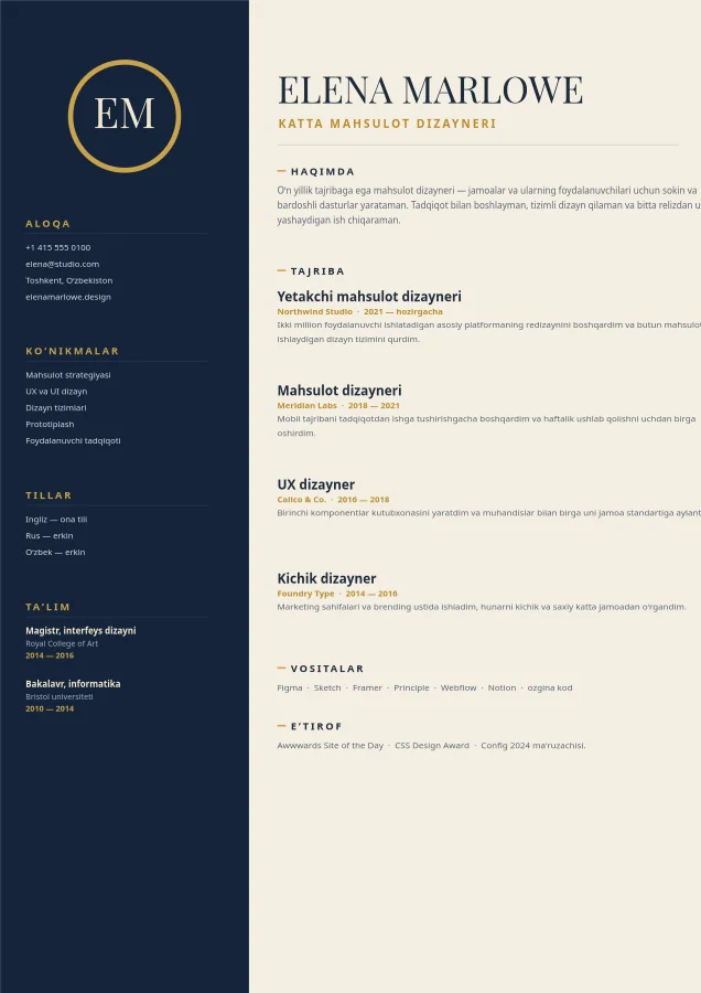 PROFESSIONAL REZYUME — Ikki Ustunli CV