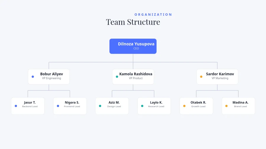 ORG CHART — Team Structure