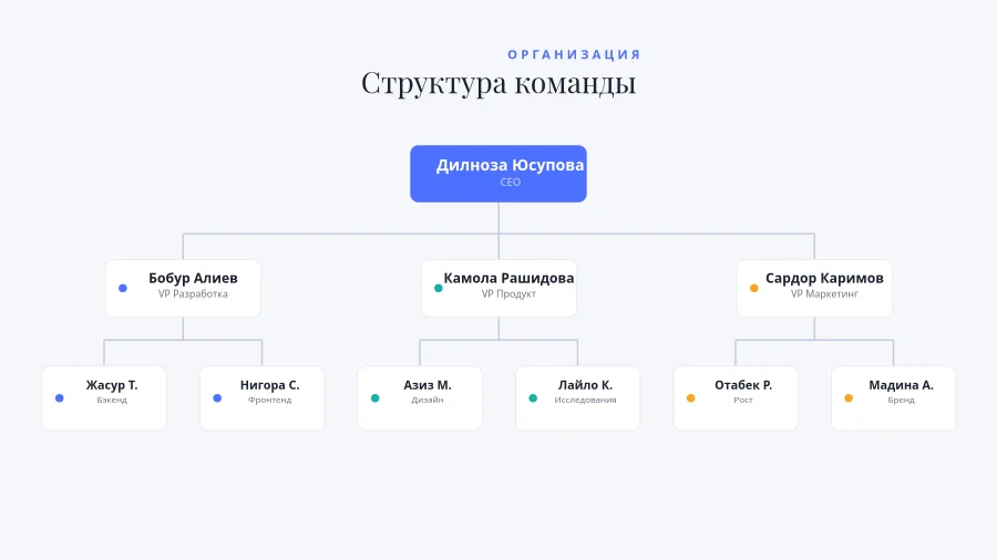 ОРГ-СХЕМА — Структура Команды