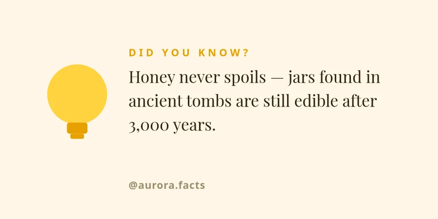 DID YOU KNOW — Fact Card