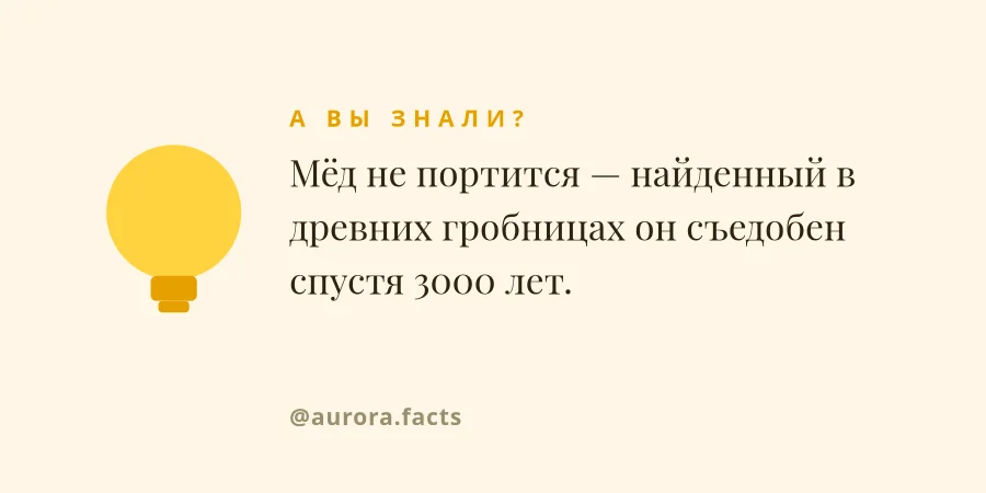 А ВЫ ЗНАЛИ — Карточка Факта