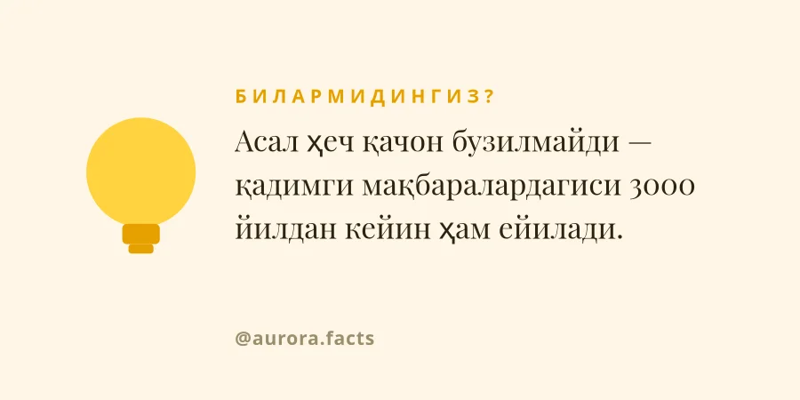 БИЛАРМИДИНГИЗ — Факт Карти