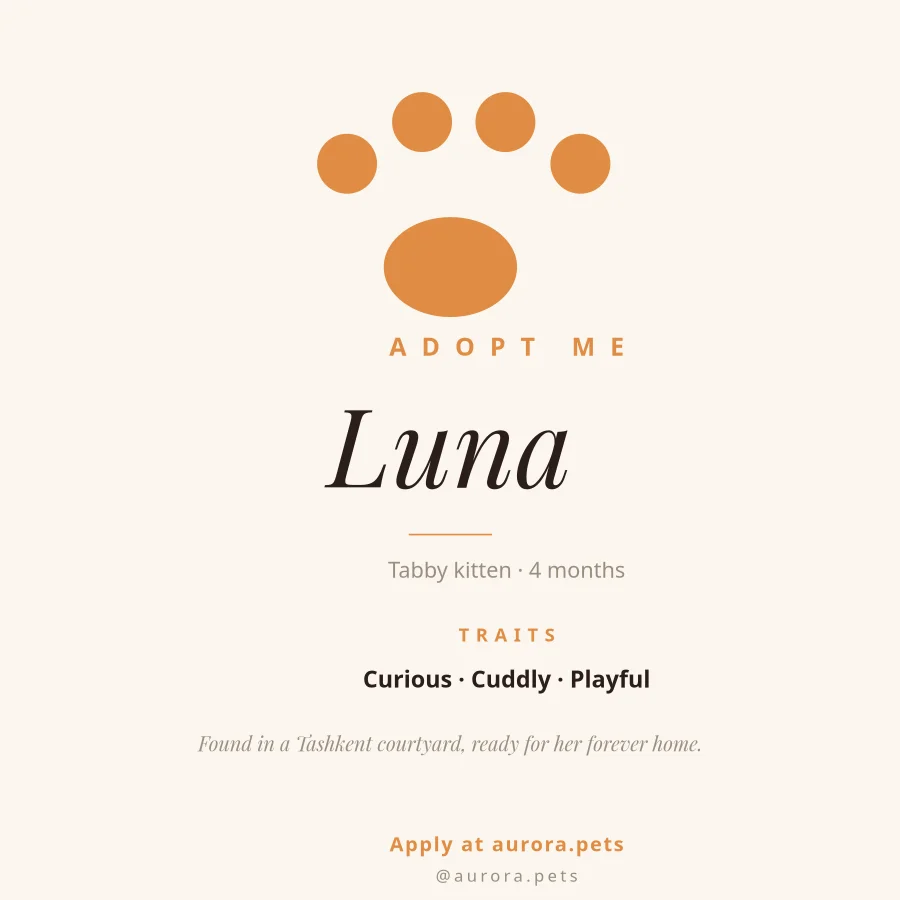 PET ADOPTION — Profile