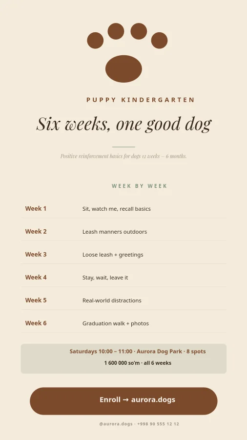 PUPPY KINDERGARTEN — 6 Weeks