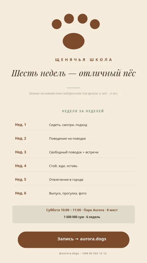 ЩЕНЯЧЬЯ ШКОЛА — 6 Недель
