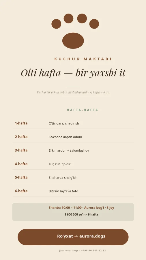 KUCHUK MAKTABI — 6 Hafta