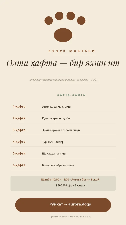 КУЧУК МАКТАБИ — 6 Ҳафта
