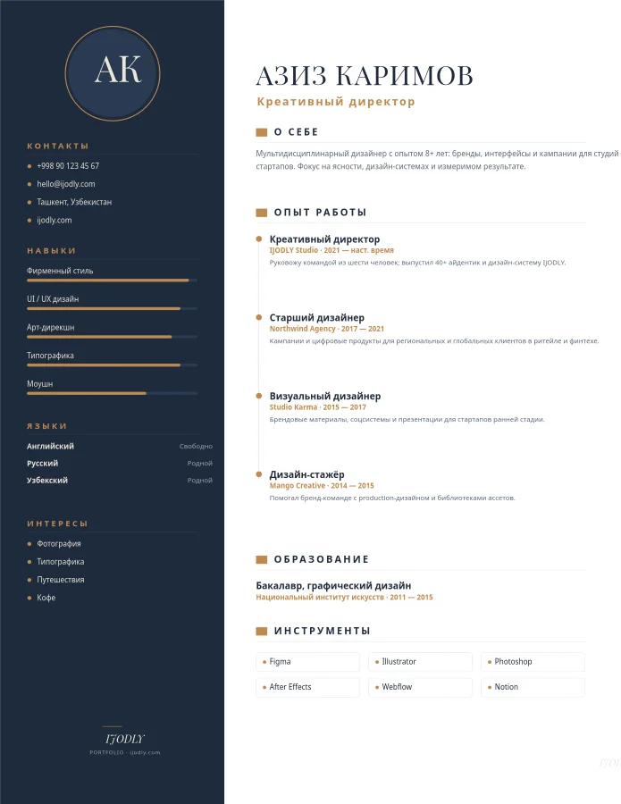 Professional Resume