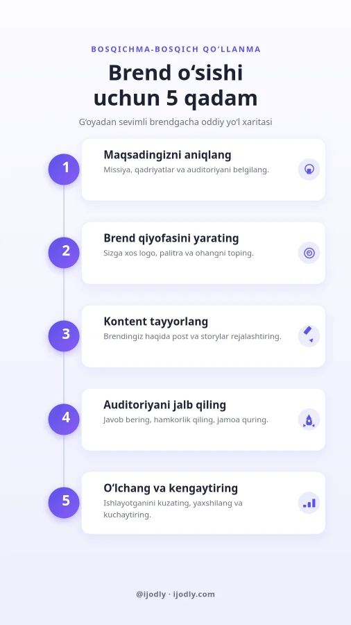 5 Steps Infographic