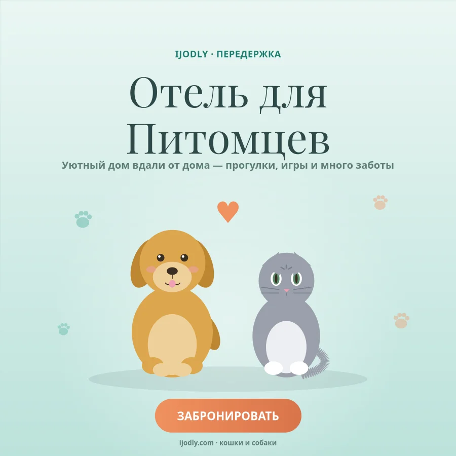 Pet Hotel