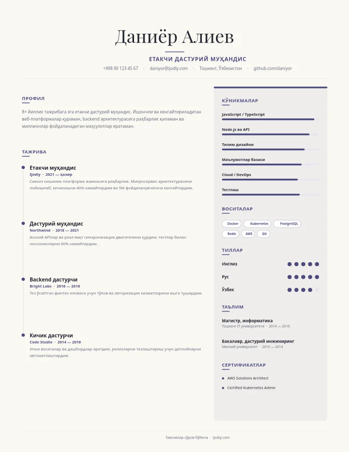 Developer Resume