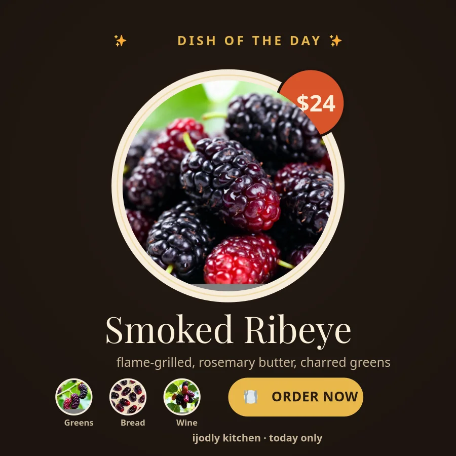 Dish of the Day