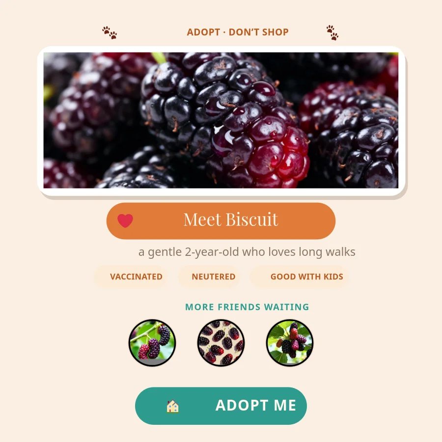 Pet Adoption